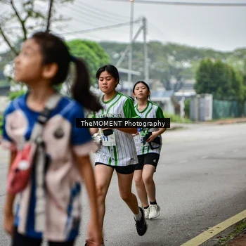 Runner Photo 8665015