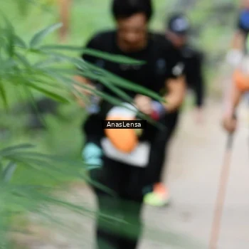 Runner Photo 8665255