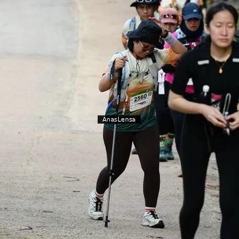 Runner Photo 8666835
