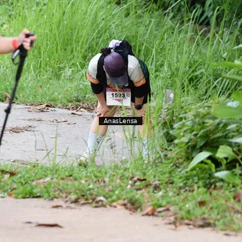 Runner Photo 8667880