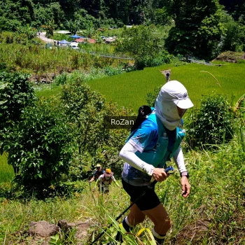 Runner Photo 86689