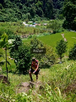 Runner Photo 86720