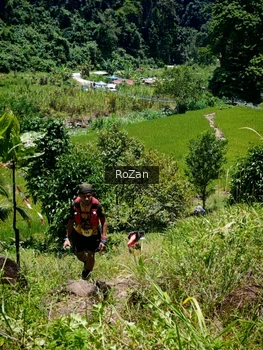 Runner Photo 86722