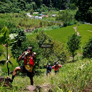 Runner Photo 86732