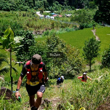 Runner Photo 86735