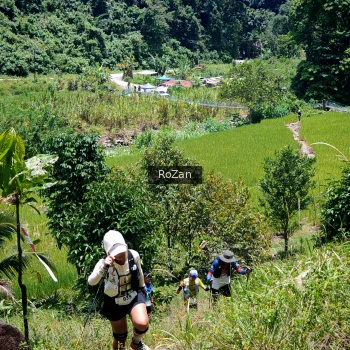 Runner Photo 86827