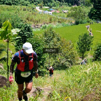 Runner Photo 86939