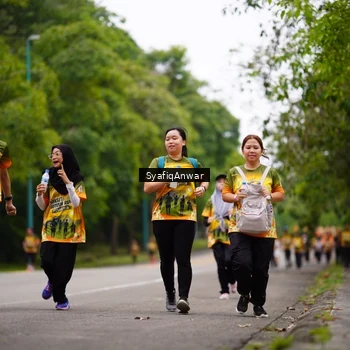 Runner Photo 8706188