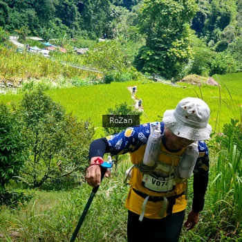 Runner Photo 87082