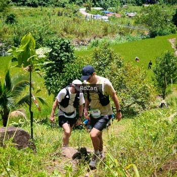 Runner Photo 87208