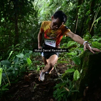 Runner Photo 8721663
