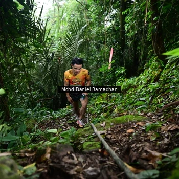 Runner Photo 8721664