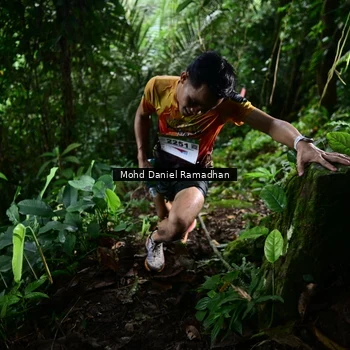 Runner Photo 8721666