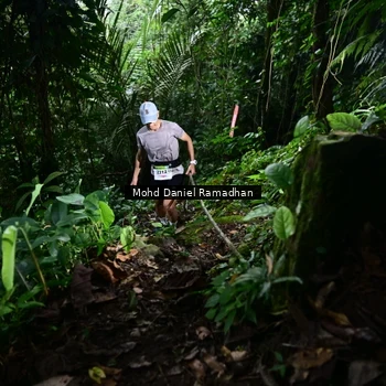 Runner Photo 8721686