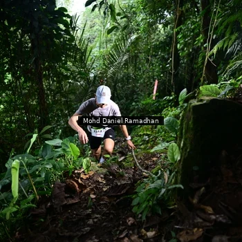 Runner Photo 8721690