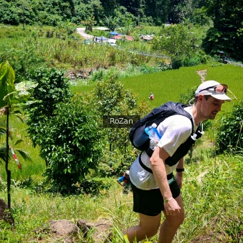 Runner Photo 87221