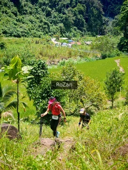 Runner Photo 87337