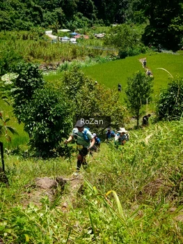 Runner Photo 87397