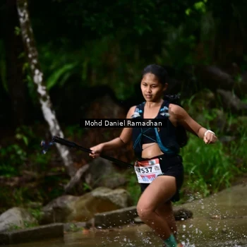 Runner Photo 8747241