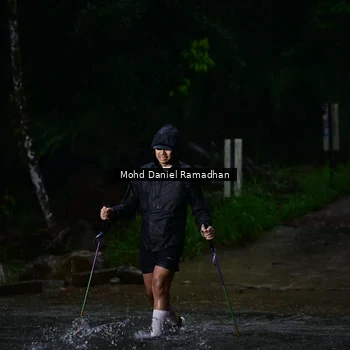 Runner Photo 8747619