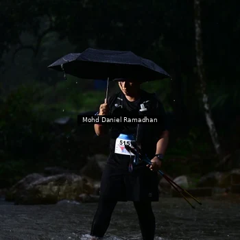 Runner Photo 8747669