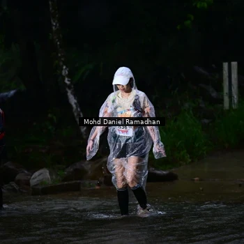 Runner Photo 8747678