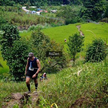 Runner Photo 87501