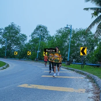 Runner Photo 8752387