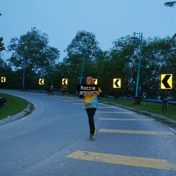 Runner Photo 8752398