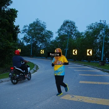 Runner Photo 8752402