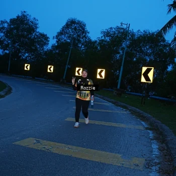 Runner Photo 8752584
