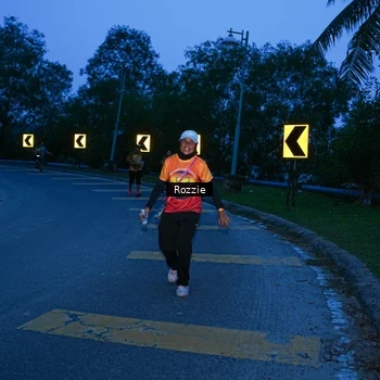 Runner Photo 8752622