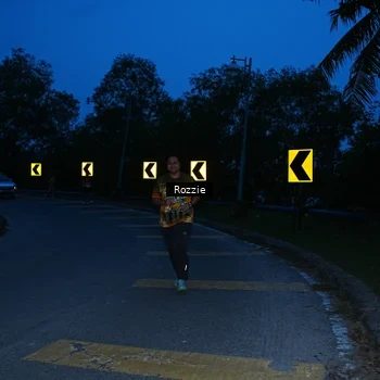 Runner Photo 8752676