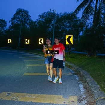 Runner Photo 8752680