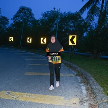 Runner Photo 8752703