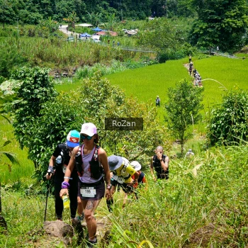 Runner Photo 87562