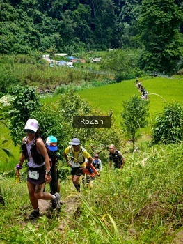 Runner Photo 87565