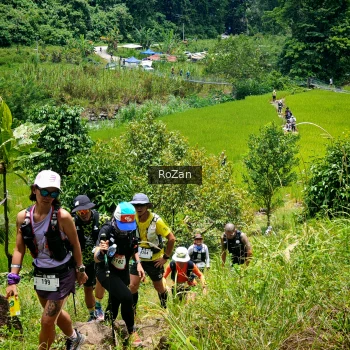 Runner Photo 87567