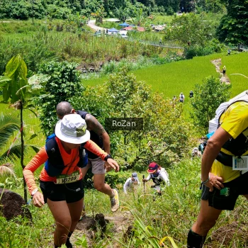 Runner Photo 87602