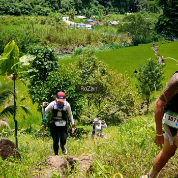 Runner Photo 87614