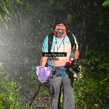 Runner Photo 8764852