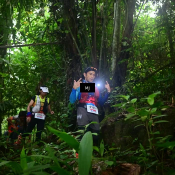 Runner Photo 8765178