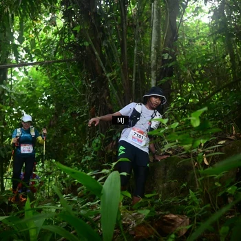 Runner Photo 8765205