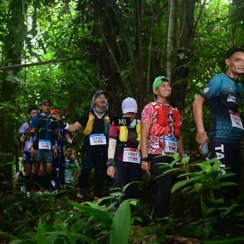 Runner Photo 8765284
