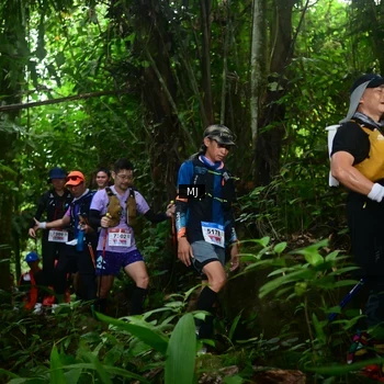 Runner Photo 8765286