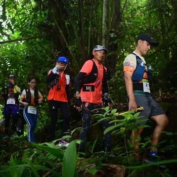 Runner Photo 8765299