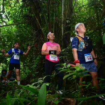 Runner Photo 8765317