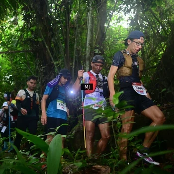 Runner Photo 8765343