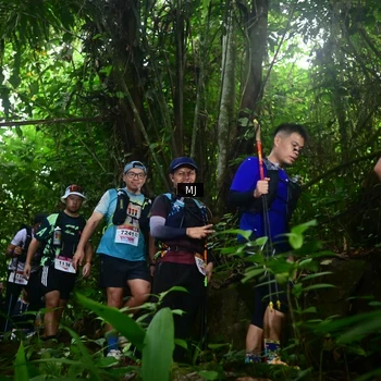 Runner Photo 8765430