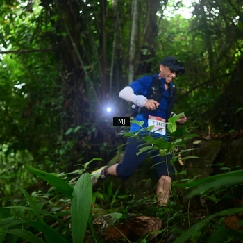Runner Photo 8765714